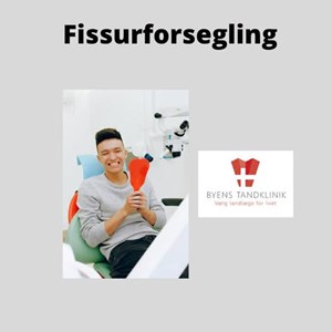 opslagsbillede