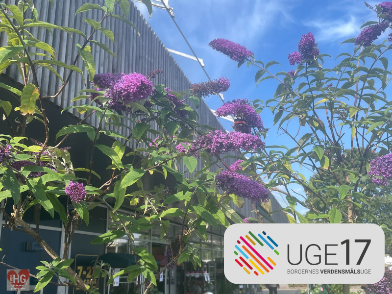 Kreative byttearrangementer på Bibliotek+