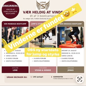 Opslagsbillede