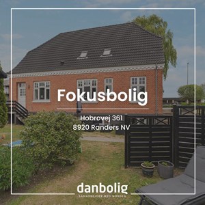 opslagsbillede