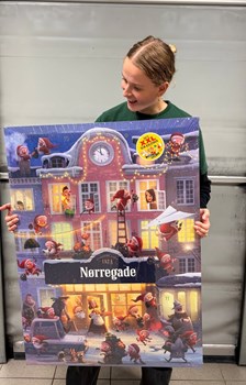 Opslagsbillede