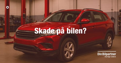 Opslagsbillede