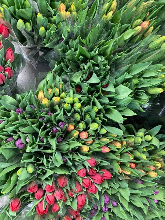 Hold trit med lokalområdet: Nyt fra Viby J