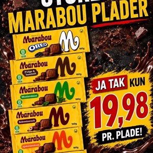 Opslagsbillede