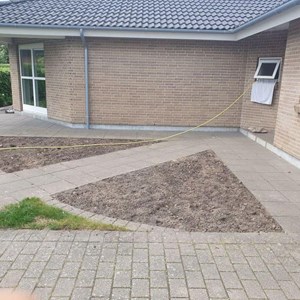 Opslagsbillede