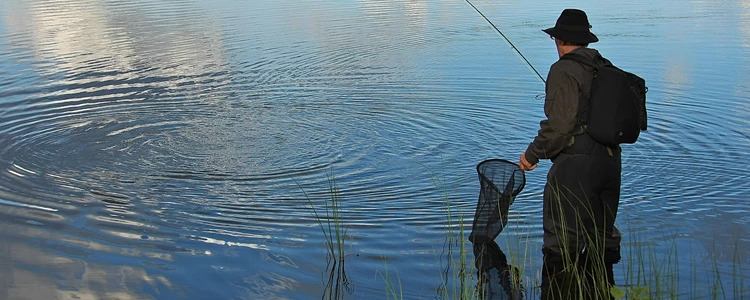 Borgmestre udsætter laks i Gudenåen