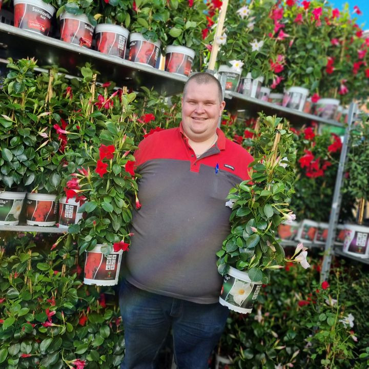 Opdatér dig her: Det nyeste fra Odder