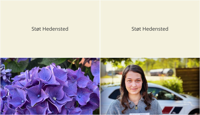 Nyt fra Midtjysk blomstermarked  og Lets Drive