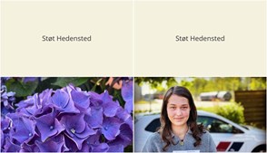 Nyt fra Midtjysk blomstermarked  og Lets Drive