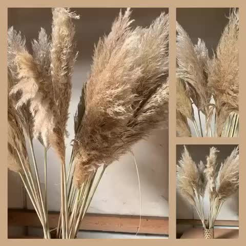 Hold trit med lokalområdet: Nyt fra Silkeborg