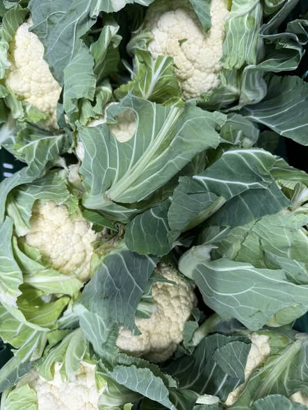 Frugt- og grønttilbud hos REMA 1000 Ringsted i Jyllandsgade