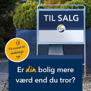 Opslagsbillede
