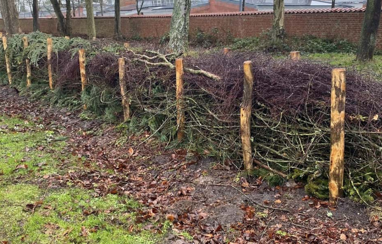 Nordre Kirkegård får bæredygtigt hegn