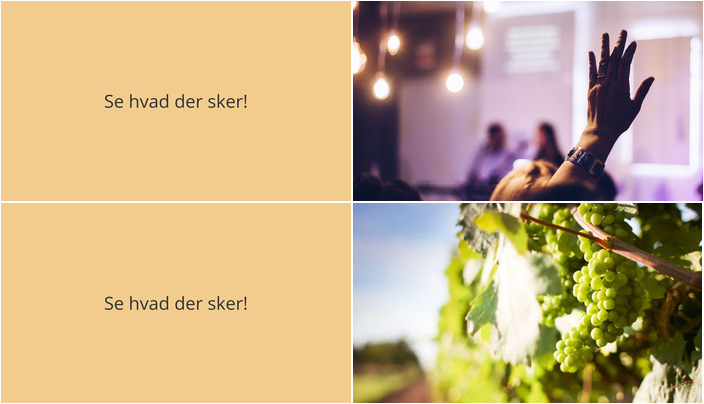 Opdag Caminoens eventyr eller nyd lokale vine - Ugens begivenheder i Skibby