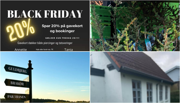 Nyt fra Old Foxes Tattoo, StensballeGaard Golfklub, Midtjysk blomstermarked  og 1 anden