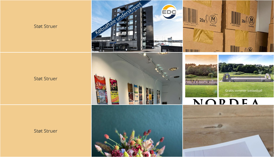 Nyt fra EDC Ejen­doms­grup­pen Struer, Gimsinghoved, Florist Pernille DB og 3 andre