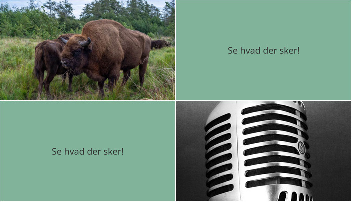 Oplev fascinerende natur og musikalske indsigter i Kongerslev i næste uge