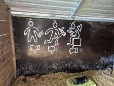 Jensen Jordbær åbner for selvpluk og byder på hygge med kaniner