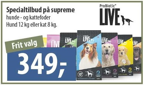 Opslagstavlen: Nyeste opdateringer fra Herning