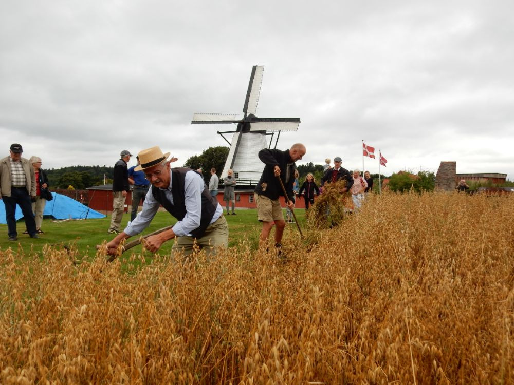 Oplev høstdag på Gl. Rye Mølle