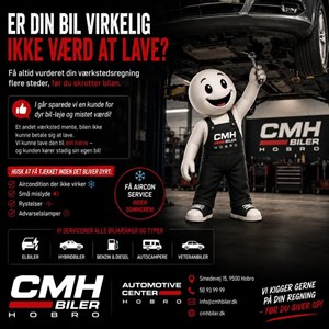 opslagsbillede