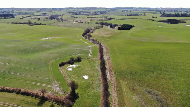 Assens Kommune skaber stort naturprojekt for at beskytte Lillebælt