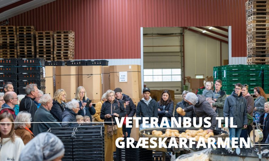 Oplev Thorsbjerggaards græskarmarker i Skælskør