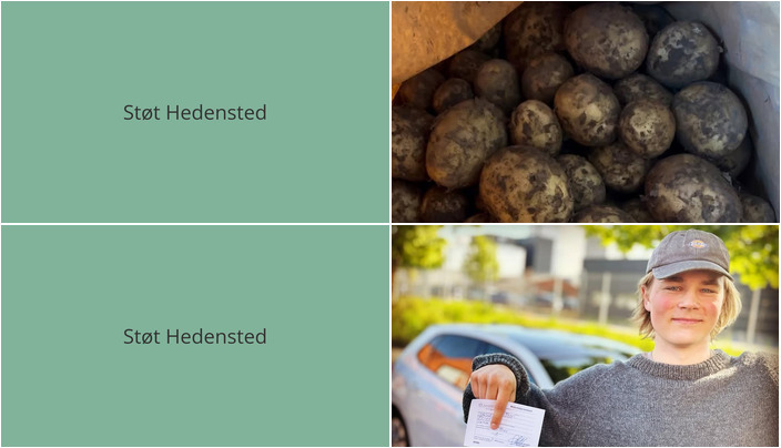 Nyt fra Lets Drive og Midtjysk blomstermarked 