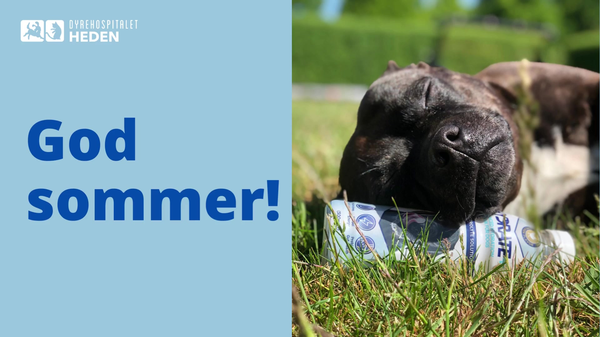 Opslagstavlen: Nyeste opdateringer fra Herning