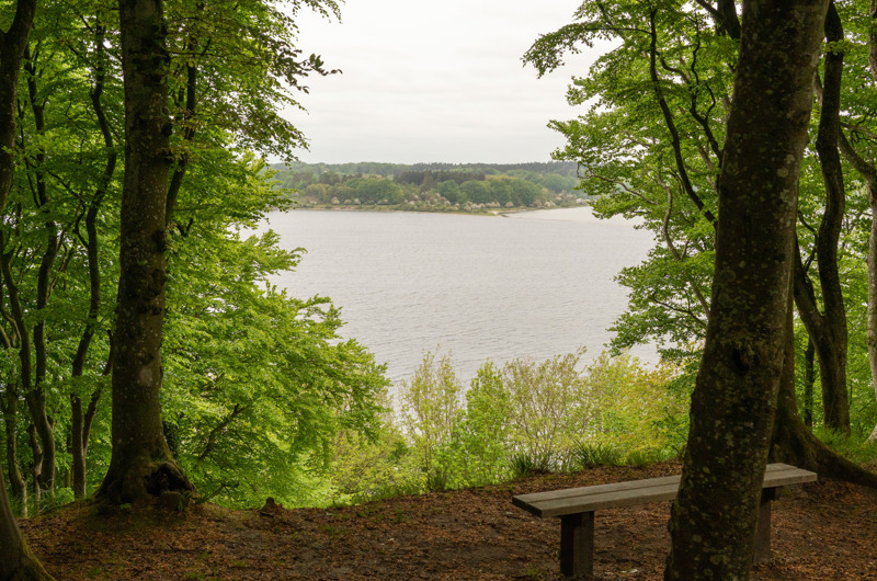 Mariagerfjord Kommune vil forbedre fjordens sundhed med nyt Kystvandråd