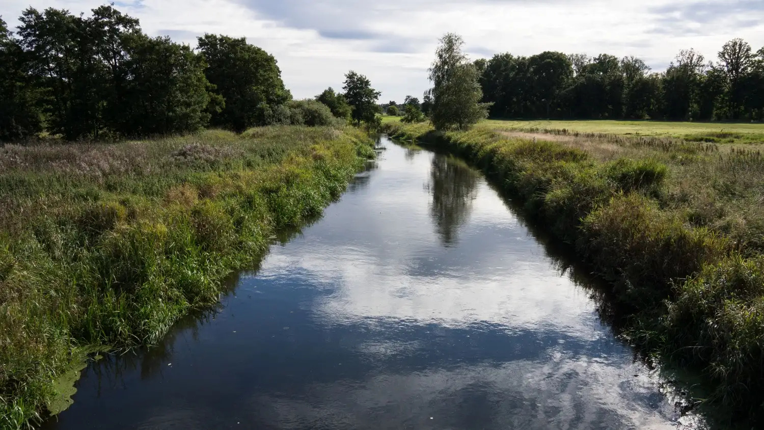 Norddjurs etablerer klimanetværk for at nedbringe CO2-udledning