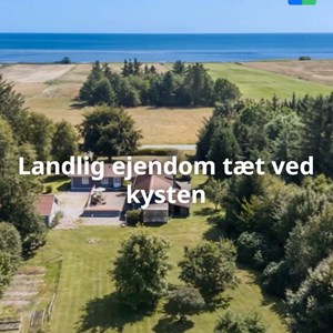 Opslagsbillede