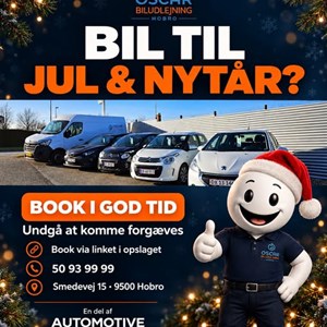 Opslagsbillede