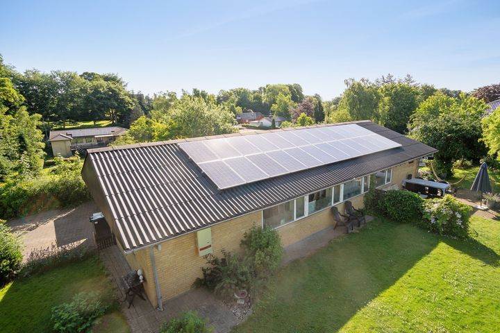 Opslagstavlen: Nyeste opdateringer fra Hammel