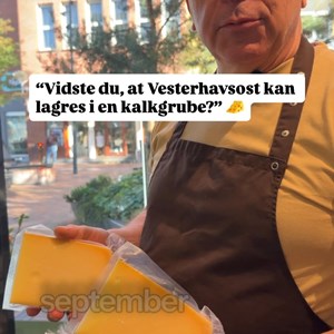 Opslagsbillede