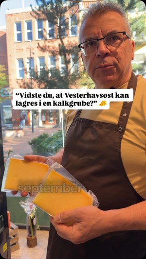 opslagsbillede