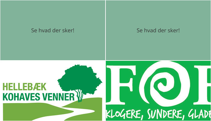 Oplev naturens vidundere i Hellebæk: Svampeture i skovene