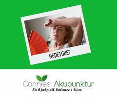 Opdatér dig her: Det nyeste fra Silkeborg