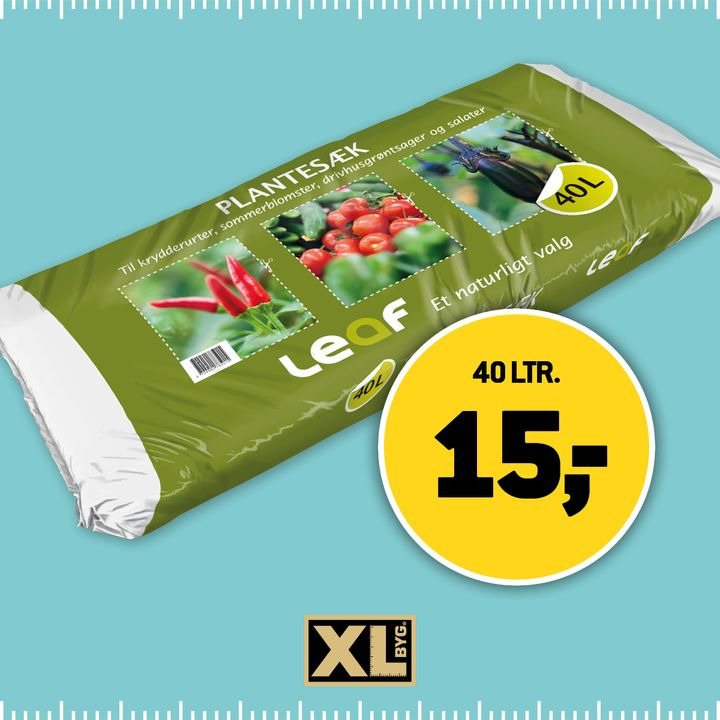 Hold dig ajour med dagens opdateringer fra Hals