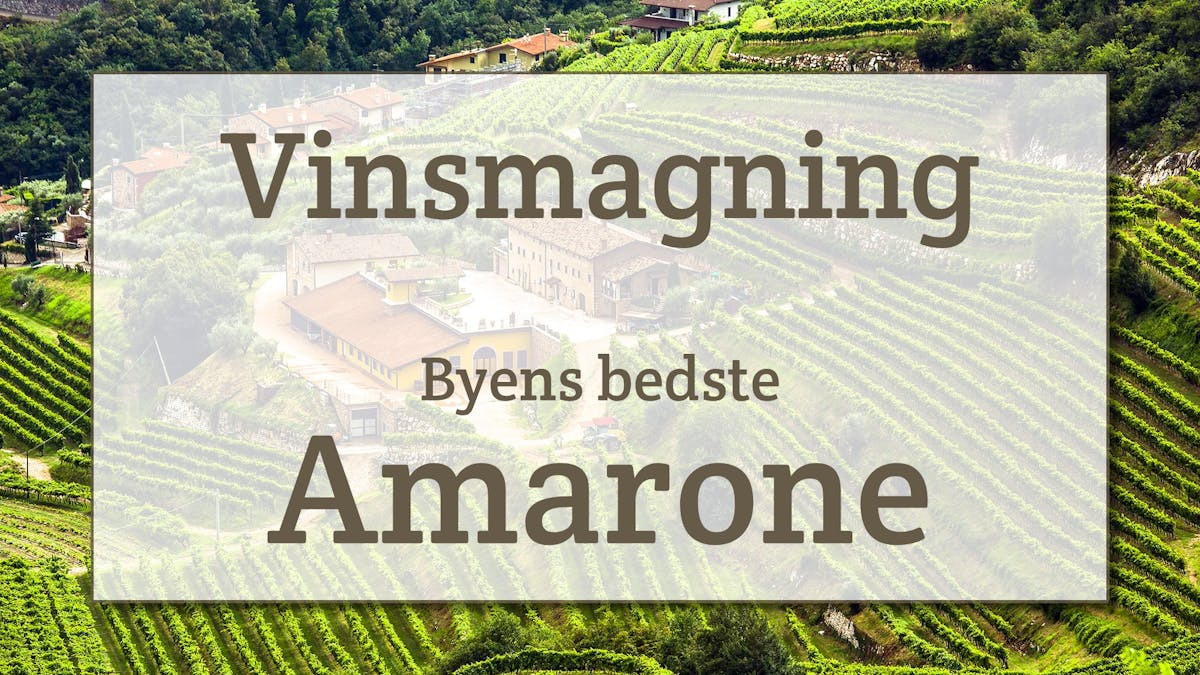 Oplev byens bedste Amarone-vine i Svendborg Kulturhus