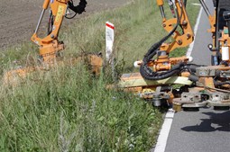 Slagelse Kommune klipper vejrabatter for bedre trafikoversigt og biodiversitet