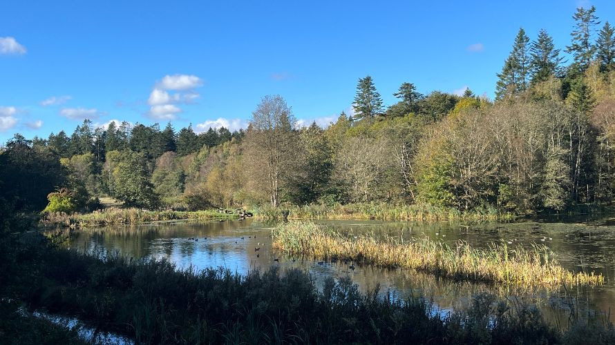 Foredrag om Klosterheden Plantage på Holstebro Museum