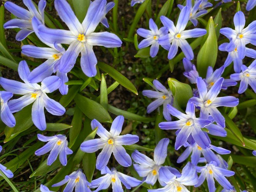 Nyt på opslagstavlen i Vejle