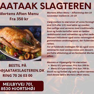 Opslagsbillede