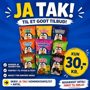 Opslagsbillede
