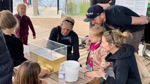 Udvidelse af Tvis Mølle Naturlaboratorium skal få endnu flere ud i naturen