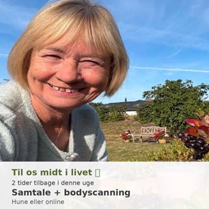 Opslagsbillede