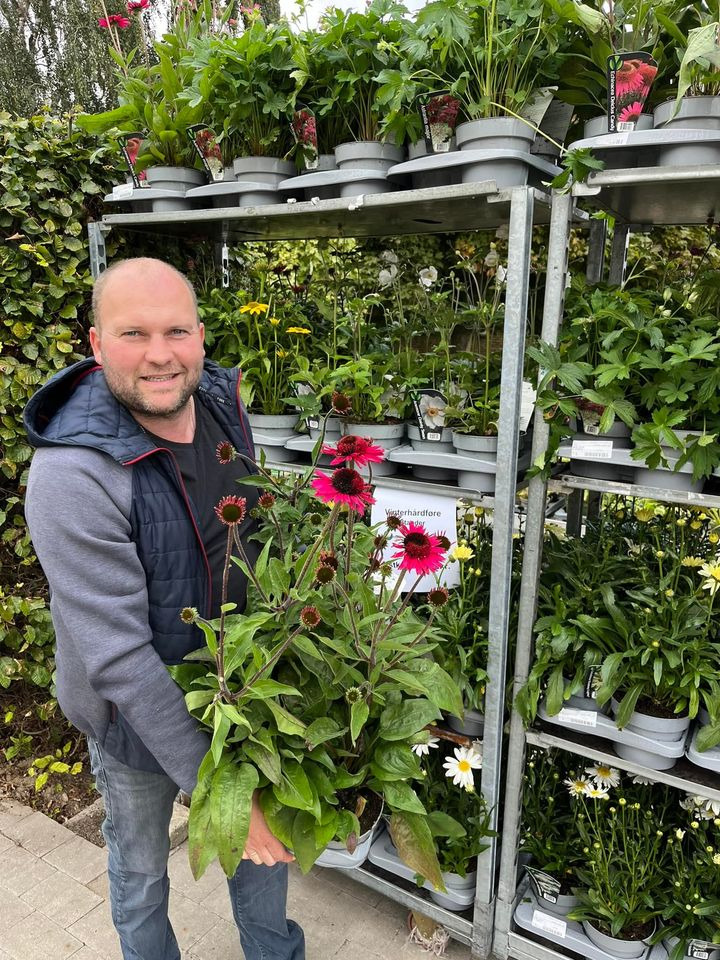 En finger på pulsen i Odder