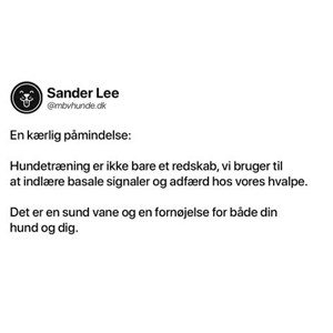 Opslagsbillede