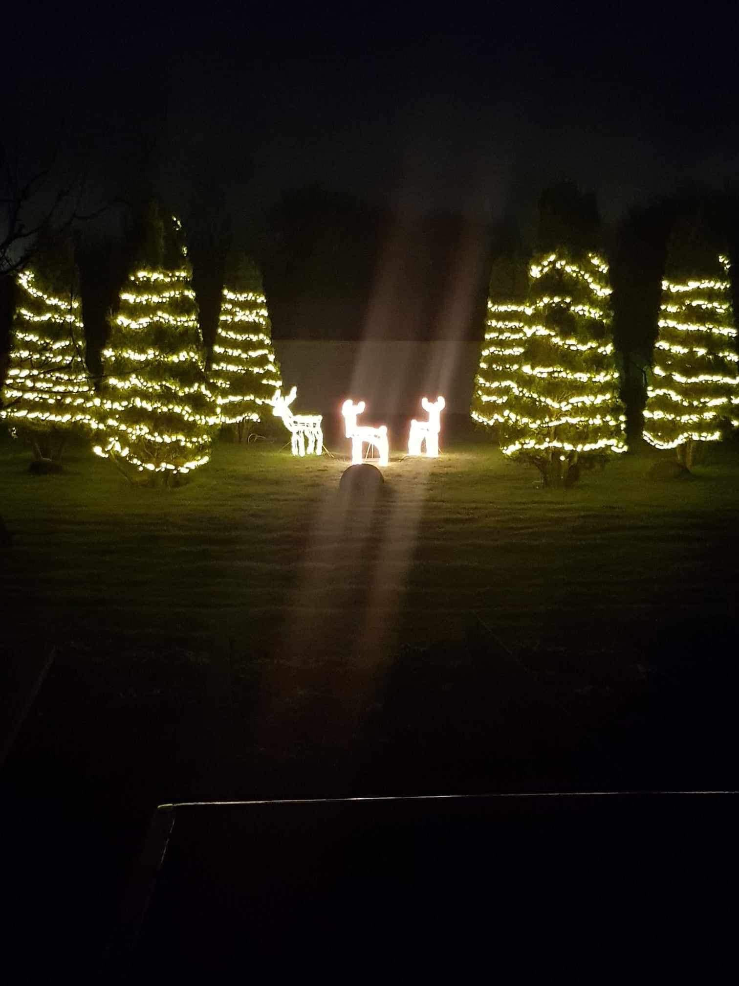 Jul i boligafdelingerne hos RandersBolig